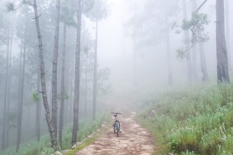 A bicycle in the fog on the Dolidana temple trail near Almora