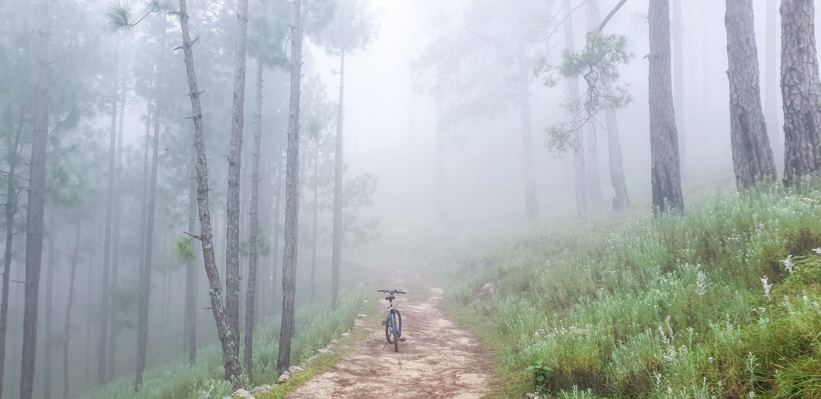 A bicycle in the fog on the Dolidana temple trail near Almora