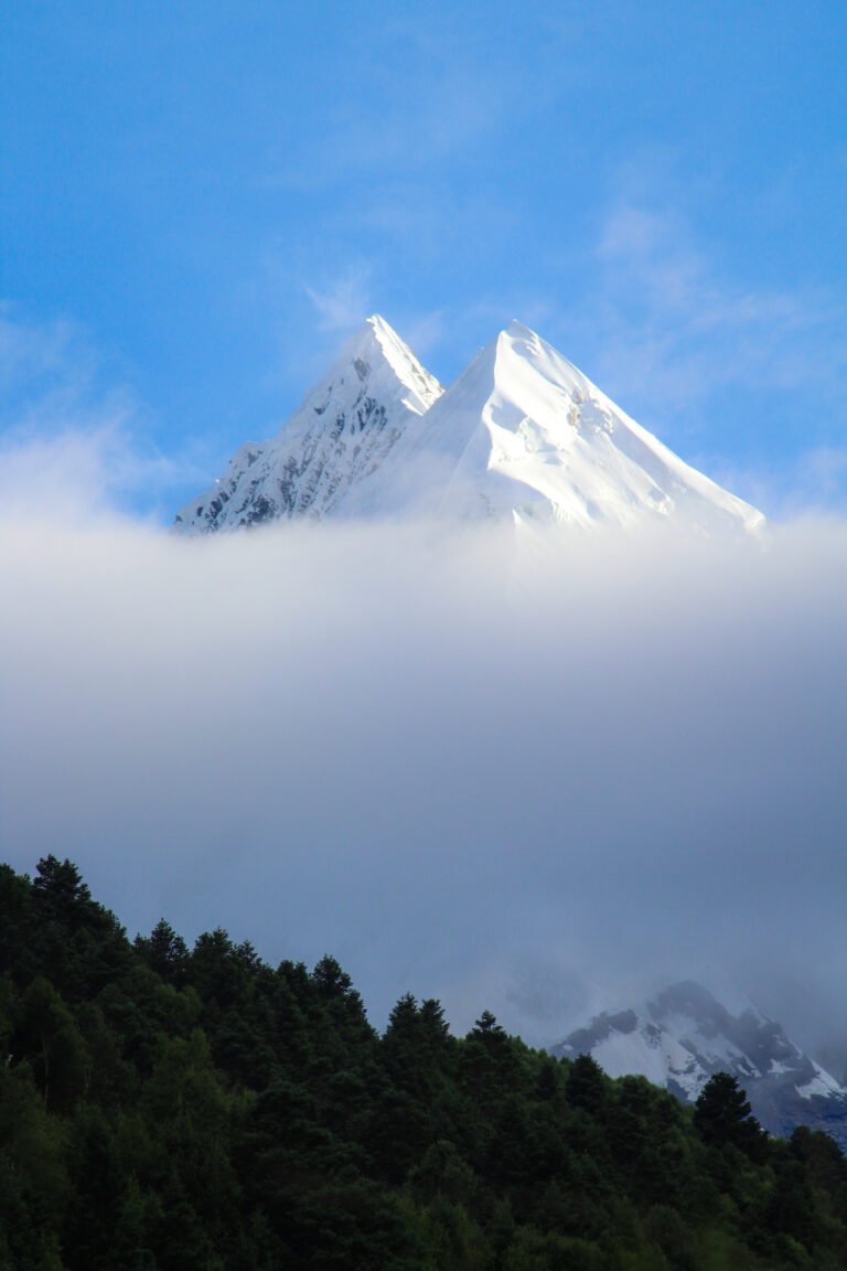 Panchachuli V, a snow-covered peak coming to a sharp point, rising above a thick horizontal band of cloud under a deep blue sky, with a lower snow slope faintly visible at right and a dark ridge of conifers across the foreground.