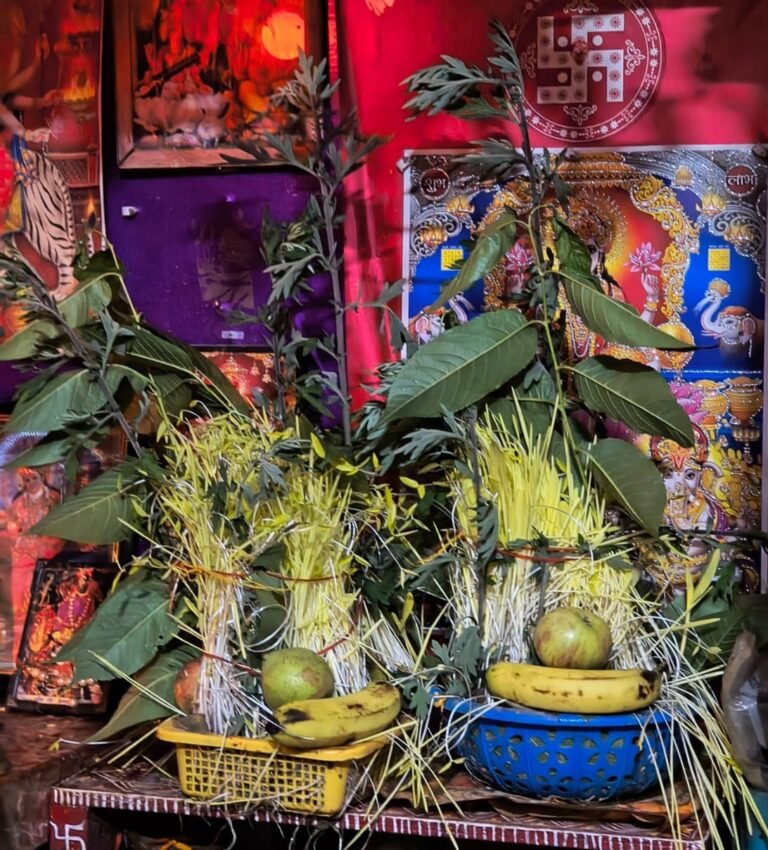 Harela plant offered to the Gods in the home temple