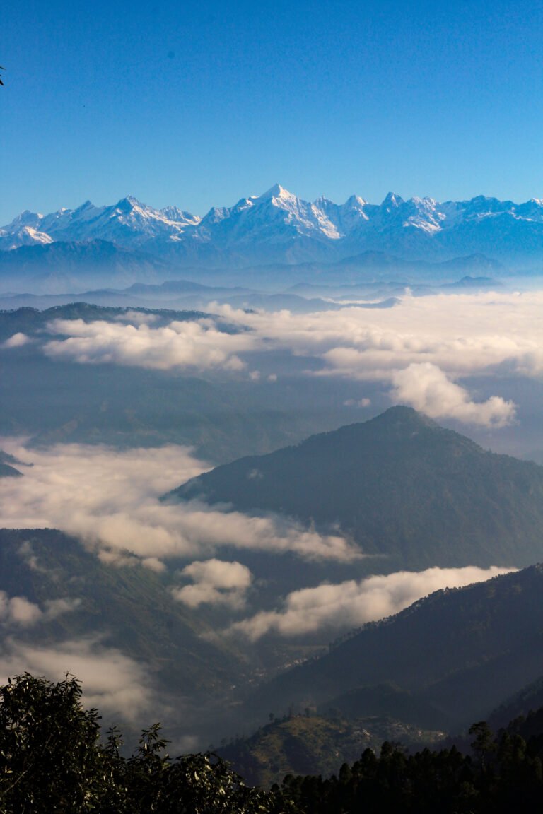 Snow-covered Panchachuli peaks along the horizon under a clear blue sky, with forested ridges below rising out of valleys filled with white cloud, and dark tree branches in the foreground.
