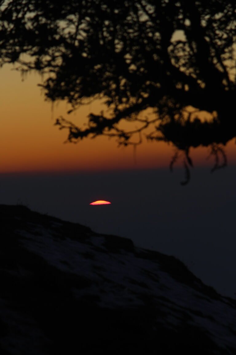 A thin sliver of the setting sun, bright pink and yellow, hanging in a dark gray haze above a shadowed slope with patches of snow. A blurred tree branch frames the top of the frame, with a band of orange sky behind it.